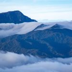 Hutan Hujan Tropis Sumatera 12 Tahun dalam Bahaya, KLHK Buka Suara