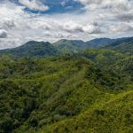 7 Ancaman Bikin Warisan Dunia Hutan Hujan Tropis Sumatera dalam Bahaya