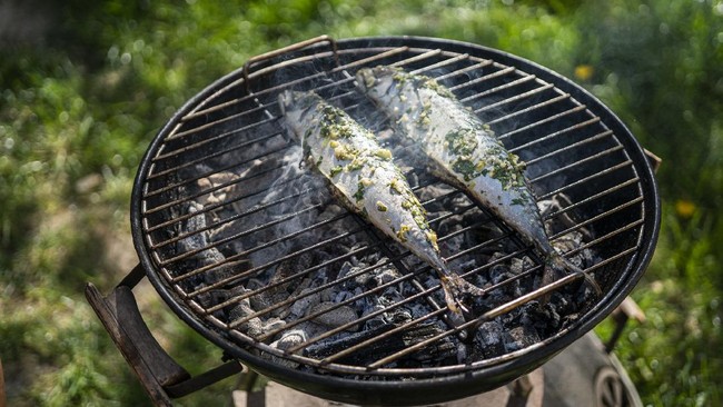 5 Ikan Murah yang dimaksud Tinggi Protein, Punya Nutrisi Setara Salmon